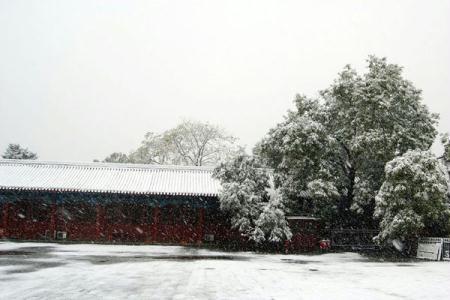 A heavy snow transformed Beijing into a winter wonderland on Oct 31, giving late-night Halloween goers an extra spook. It is the earliest first snow in Beijing in 22 years. [Photo:China.org.cn] 