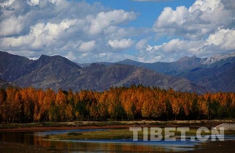 秋末冬初赏拉萨河美景