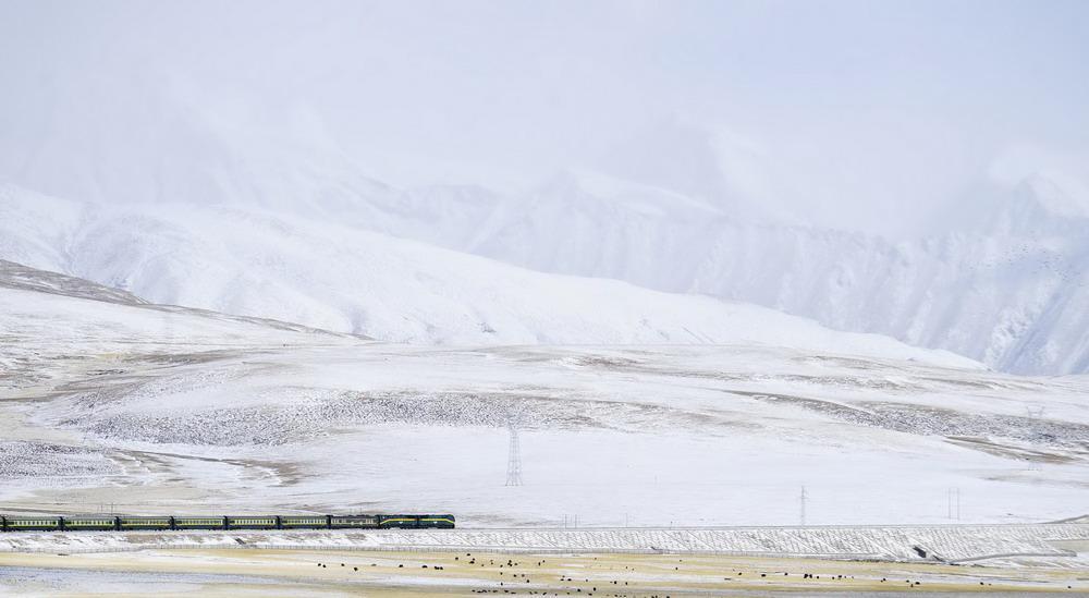  train runs on Qinghai-Tibet Railway (Photo Taken on March 18, 2013).