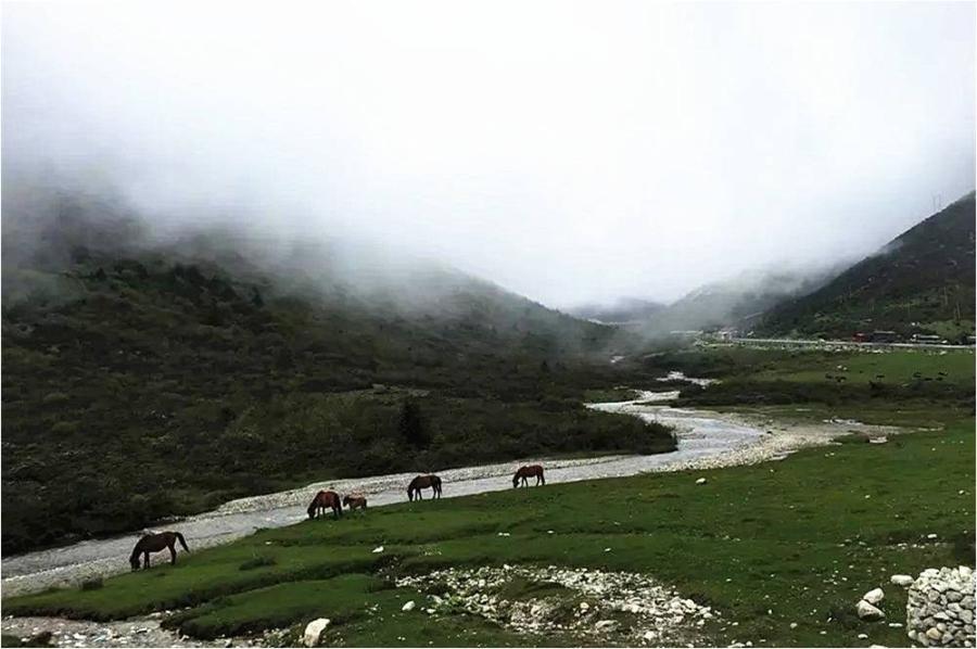 From kangding to Sinduqiao, 82 kilometers long, the altitude increases to 4300 meters. Besides, there is a 42-kilometer upslope on that way. It was an unprecedented breakthrough for Uncle Zhong.Beginning on 7:00 a.m. he experienced heavy rain and fog.