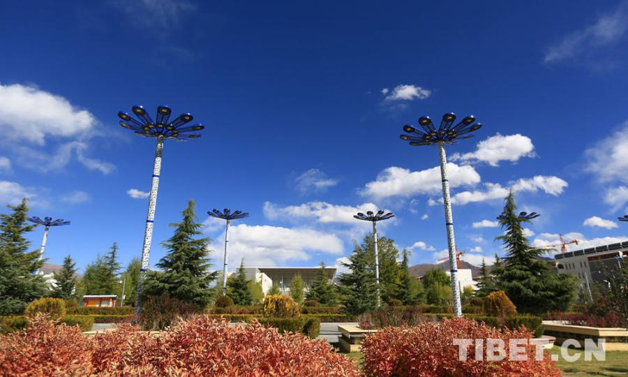 t the new campus of Tibet University, grass lawn is still green while most of the leaves have already turned yellow. Photo shows uniquely shaped street lamps. [Photo/Yang Yueyun]