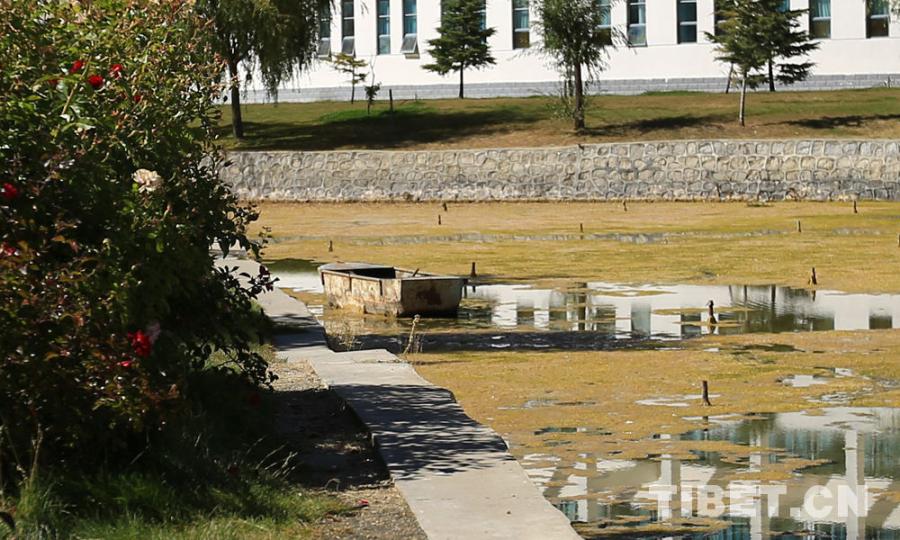 Tibet University is founded in 1985, which includes Lhasa Campus and Nyingchi Campus.Photo shows a little boat on the river. [Photo/Yang Yueyun]