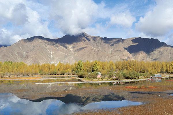 It is the last beauty that this autumn has left for people  in Lhasa. You get to see as much scenic things as possible before the autumn goes far away.