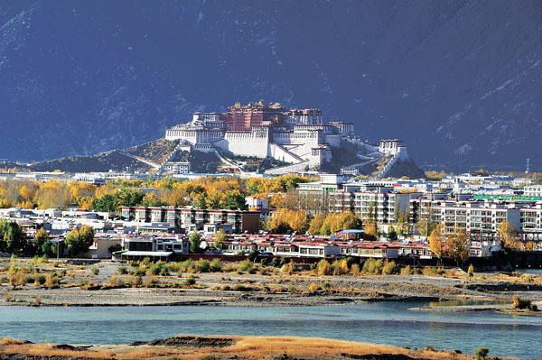 In the yard of dormitory or company, on the road of going to company or back home, the beauty of Lhasa autumn is everywhere.