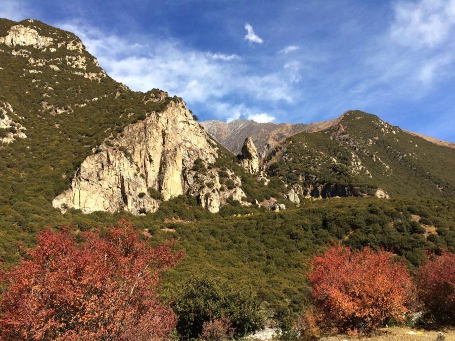 Nyingchi contains the Namcha Barwa Peak, and the Yarlung Tsangpo Grand Canyon, located in Mêdog County, which attracts significant tourism and biological study to the area. Photo shows the scenery on the way to Nyingchi in early November.