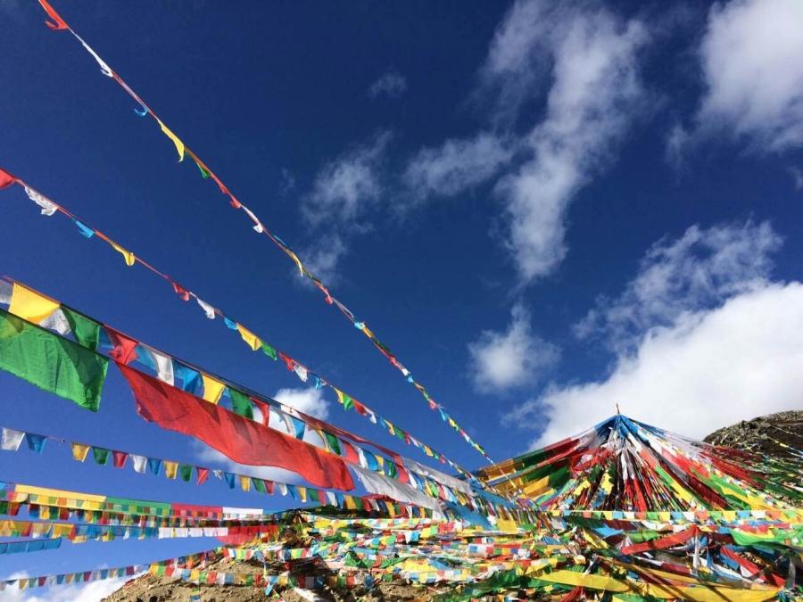 Photo shows the autumn scenery of Tibet.[Photo/Li Yang]