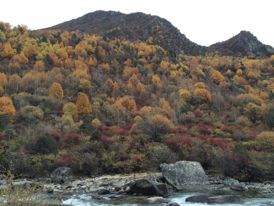 Sitting at an altitude of 5,000 meters, the Lhamoi Lhatso is a holy lake in the eyes of Tibetan people that is believed to be able to project the will of god.