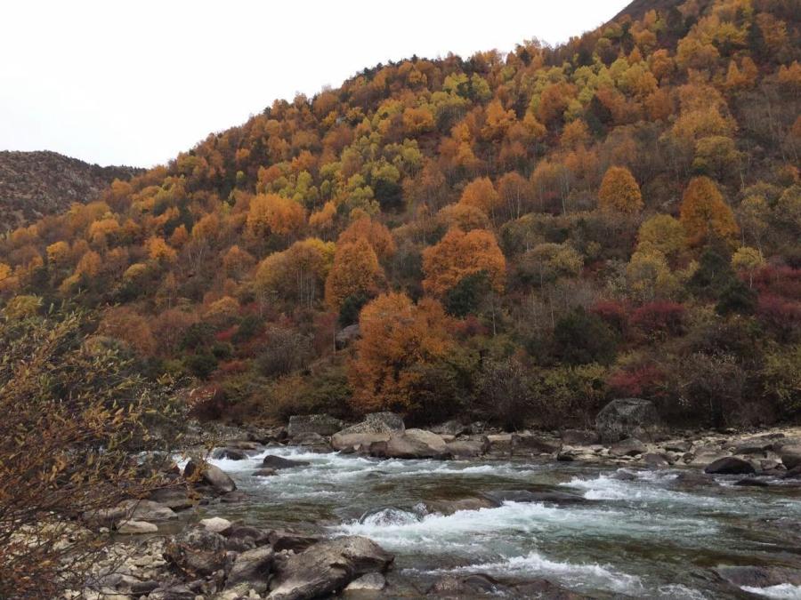 Photo shows the Lhamoi Lhatso Lake.[Photo/Li Yang]