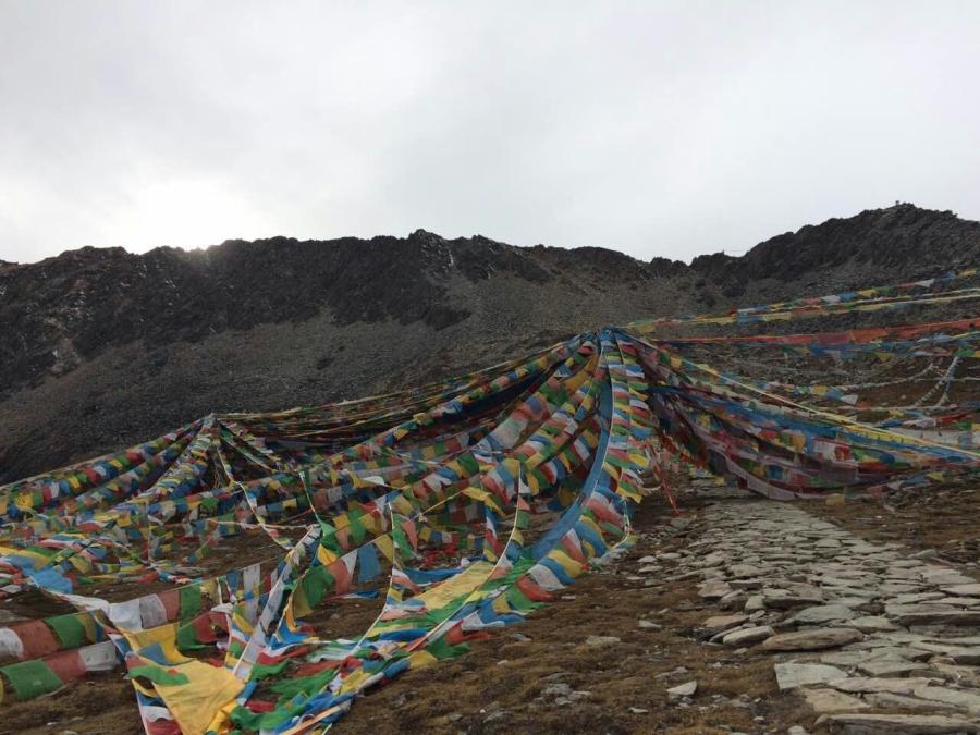 Photo shows the autumn scenery of Tibet.[Photo/Li Yang]