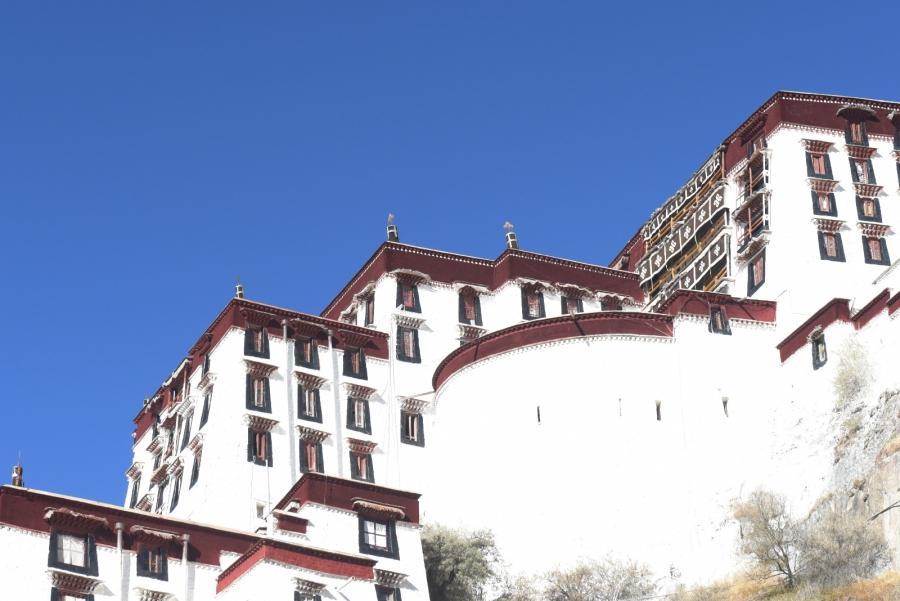 After painting, the Potala Palace looks as white as snow.