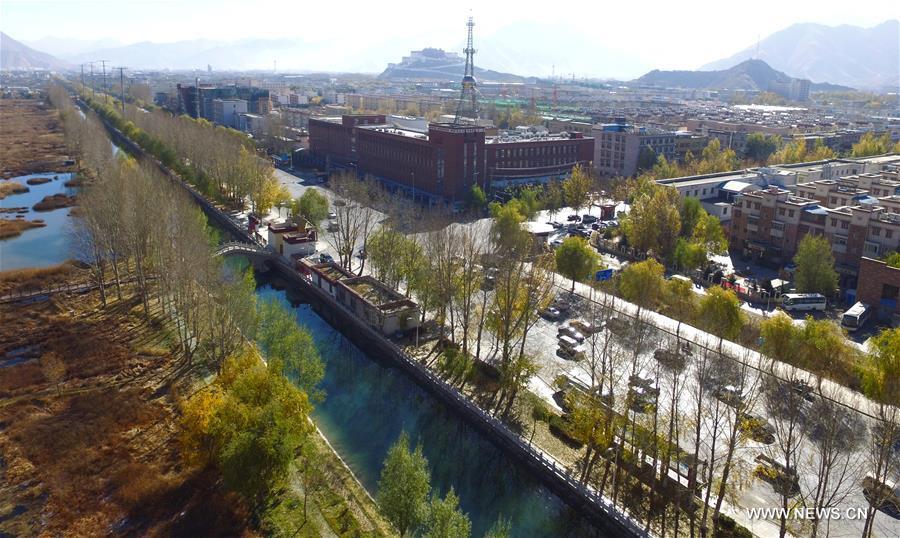 Photo taken on Nov. 13, 2015 shows the scenery of Lhalu wetland on the northwest outskirts of Lhasa, capital of southwest China