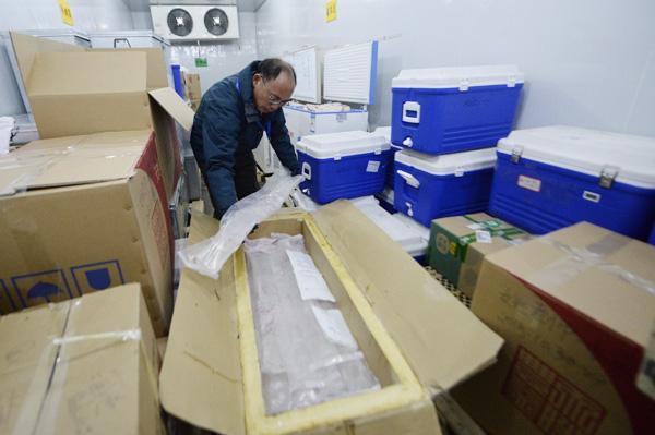 Six metric tons of ice cores drilled on the Qinghai-Tibetan Plateau are kept in a refrigerated store in Beijing. [Photo by Wei Xiaohao/China Daily]