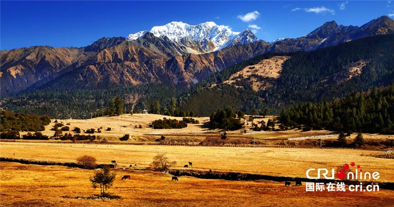 Photo shows the scenery at the foot of the mountain, southwest China’s Tibet Autonomous Region. With an average elevation exceeding 4,500 metres (14,800 ft), the Tibetan Plateau is sometimes called "the Roof of the World" and is the world’s highest and largest plateau, with an area of 2,500,000 square kilometres (970,000 sq mi). Tibet is famous for its magnificent natural scenery.