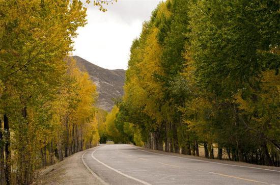 Yamdroktso Lake is located at the Nangartse County of Shannan Prefecture, some 110 km to the southwest of Lhasa. The lake is 130 km long from east to west and 70 km broad from north to south.