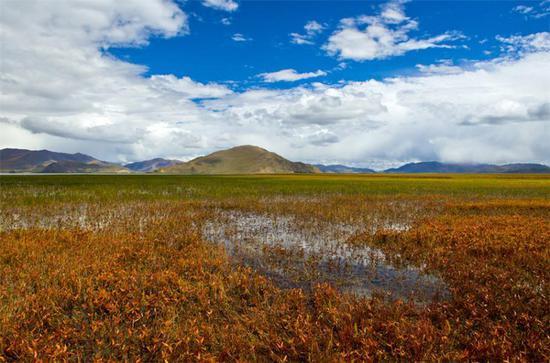 Devout Tibetan pilgrims circumambulate the lake in around 7 days. Most Western travelers are content with a glimpse of the lake from the Kamba La and views from the town of Nangartse, where you can stay the night.