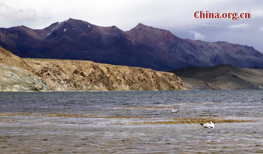 Sacred mountain, lake in Tibet