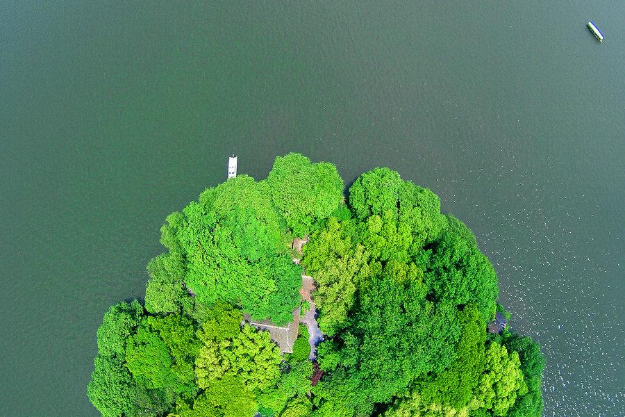 A small green island that looks like broccoli on the West Lake of Zhejiang province on May 5, 2015. (Photo  source: Xinhua)