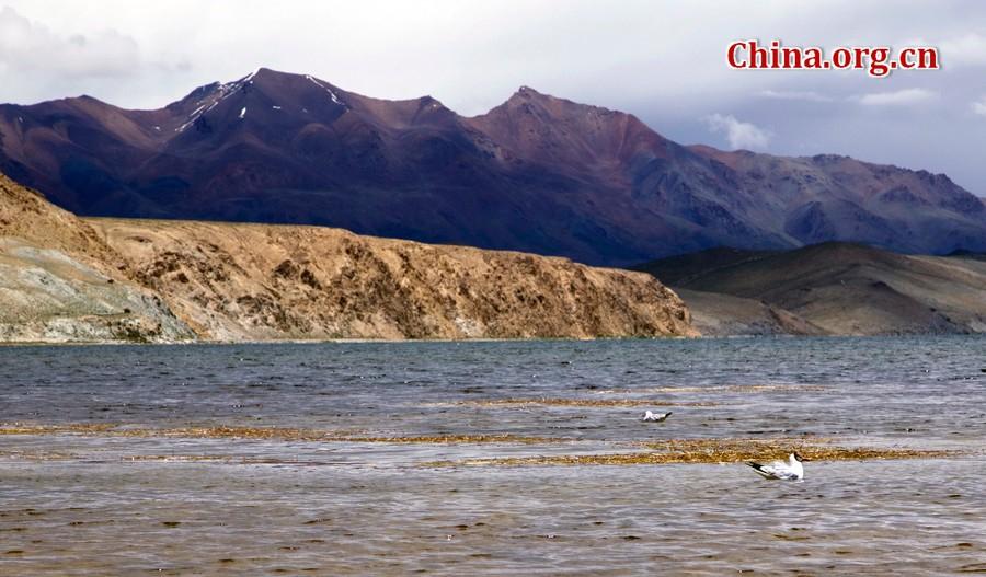 Lake Manasarovar [Photo/China.org.cn]