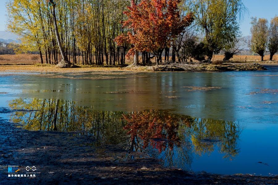 Photo taken on Nov. 17, 2016 shows the beautiful scenery of Lalu wetland in the morning light of early winter. [Photo/Xinhua]At an elevation of 3,646 meters above sea level, Lalu Wetland National Nature Preserve is located in the north of Lhasa. Being the largest urban wetland in the world, Lalu Wetland National Nature Preserve, also called Lalu Wetland Nature Reserve, covers 12.2 square kilometers, of which the core area is 6.6 square kilometers in the center of Lhasa City, the capital of the Tibet Autonomous Region.