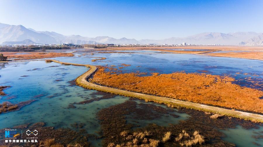 Photo taken on Nov. 17, 2016 shows the beautiful scenery of Lalu wetland in the morning light of early winter. [Photo/Xinhua]At an elevation of 3,646 meters above sea level, Lalu Wetland National Nature Preserve is located in the north of Lhasa. Being the largest urban wetland in the world, Lalu Wetland National Nature Preserve, also called Lalu Wetland Nature Reserve, covers 12.2 square kilometers, of which the core area is 6.6 square kilometers in the center of Lhasa City, the capital of the Tibet Autonomous Region.