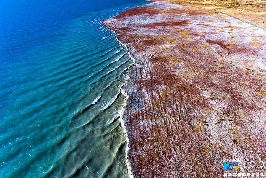 Photo shows the aerial photograph of Yamdrok Lake in early winter. [Photo/Xinhua]The holy Yamdrok Yumtso Lake lies to the south of Yarlong Tsangpo River in the Shannan Region of Tibet. It is one of three holy lakes in Tibet. As the largest freshwater lake at the south foot of the Himalayas with an area of about 638 square kilometers, it is in a length of 130 kilometers and a width of 70 kilometers. Its surface is about 4,441 meters above the sea level. It is quite deep as the average depth is about 20-40 meters and the deepest point is almost 60 meters below the surface.