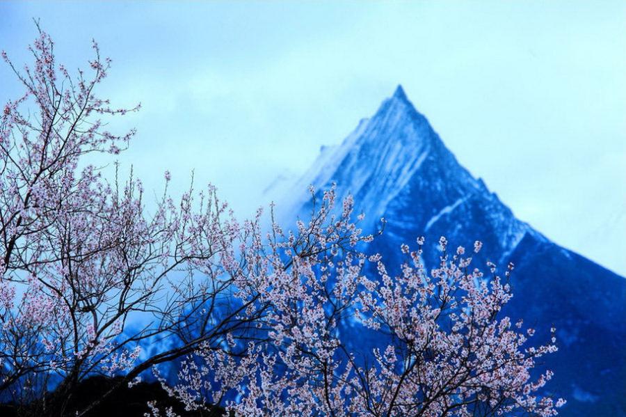 Tibet is a region on the Tibetan Plateau in Asia, spanning nearly a quarter of China