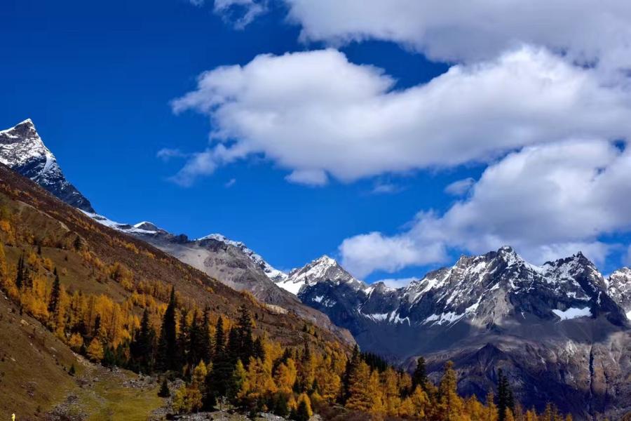 The Yarlung Tsangpo Grand Canyon, along the Yarlung Tsangpo River, is among the deepest and longest canyons in the world. Tibet has been called the "Water Tower" of Asia, and China is investing heavily in water projects in Tibet.