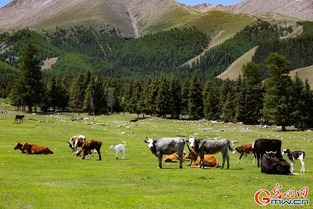 Xinjiang: What a fairyland!