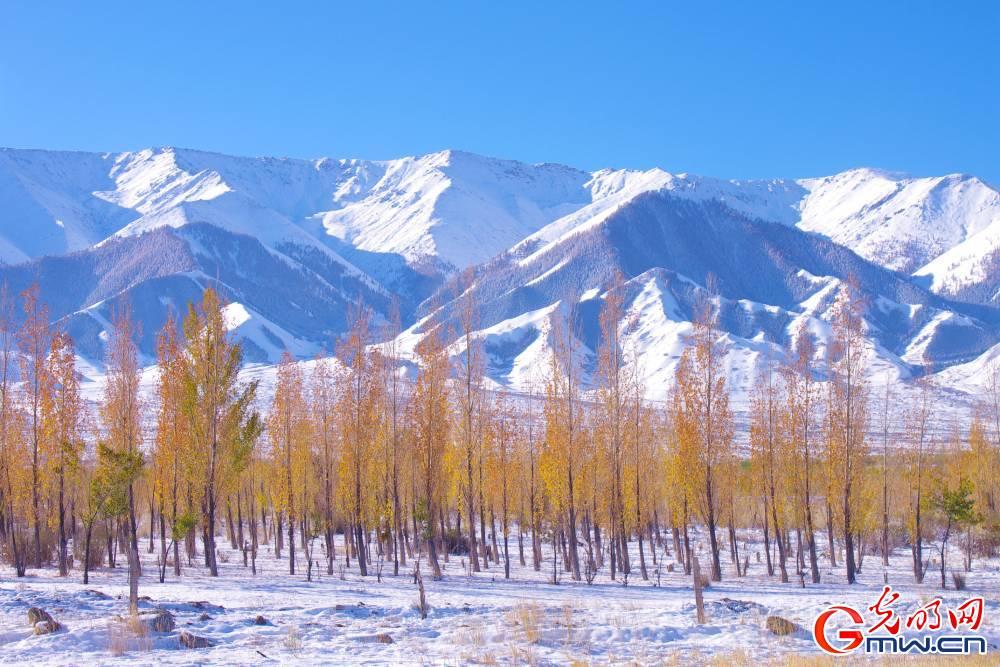 Xinjiang: What a fairyland!