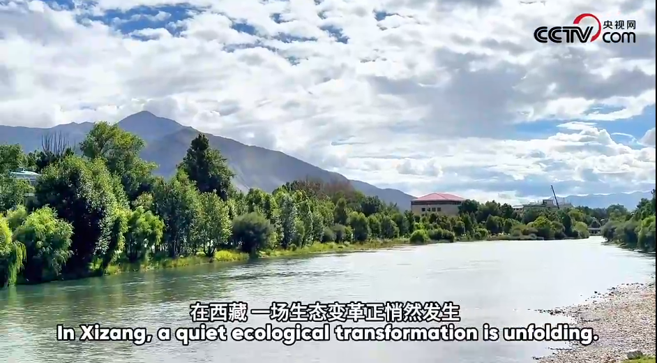 d404ba3d-9cf7-4259-8c4a-69932abf9271.png