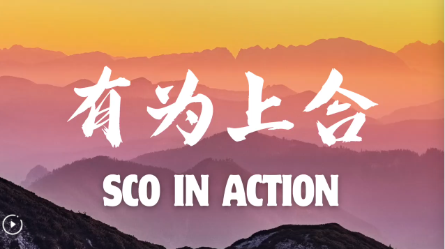 c089a7f2-4b39-4f36-b2f3-86fb3ea9e1ce.png