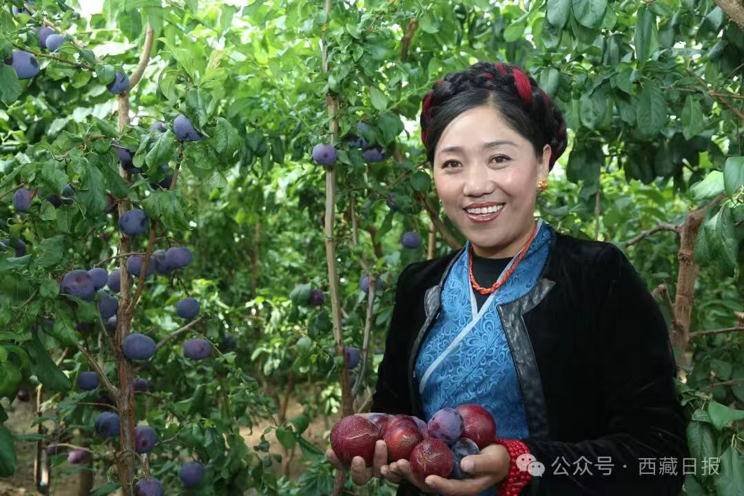 0ed035b3309169523bee34130e19a3c5.jpg 0ed035b3309169523bee34130e19a3c5.jpg