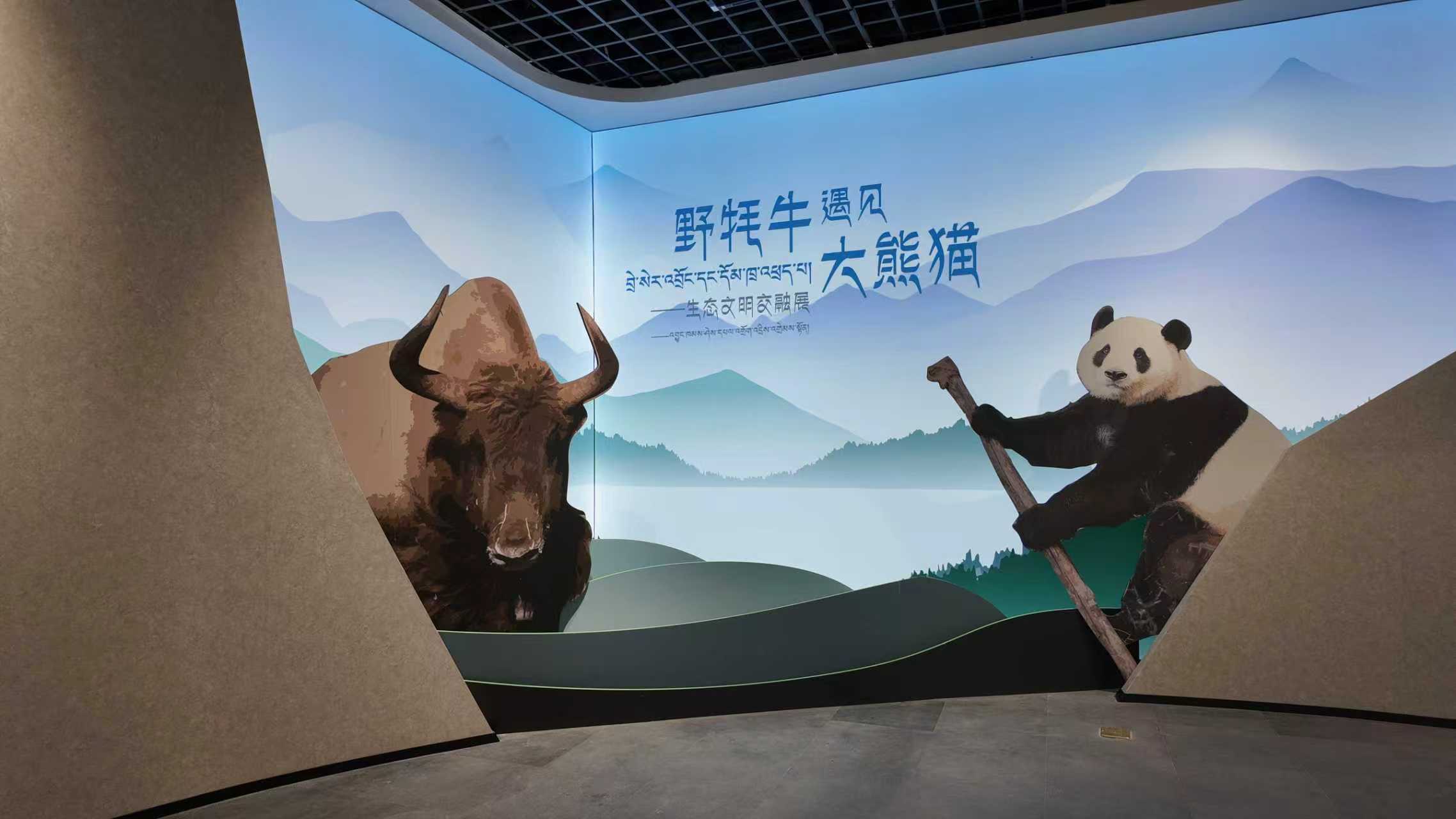 920ba2ca04063b75347b5abd40581a09.jpg 920ba2ca04063b75347b5abd40581a09.jpg