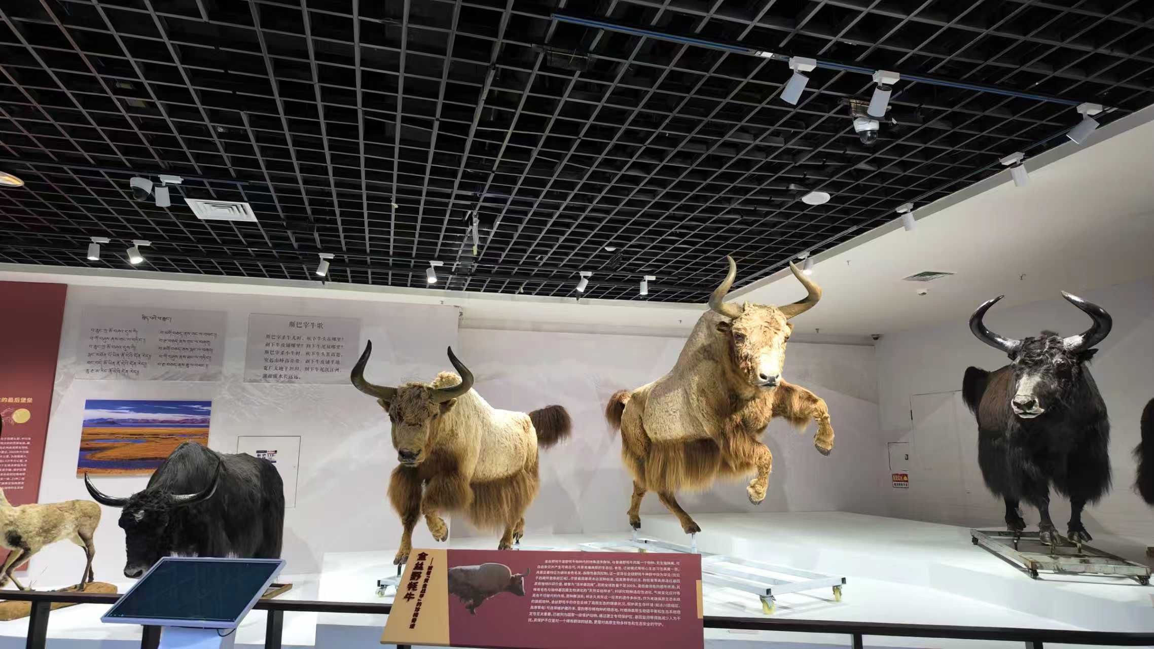 da6f6a2dd863f0ea3aaad4dc94581129.jpg da6f6a2dd863f0ea3aaad4dc94581129.jpg