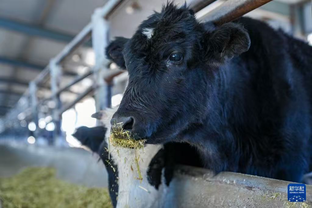 615f89e69f432bea7fa92a5d7bf9c759.jpg 615f89e69f432bea7fa92a5d7bf9c759.jpg