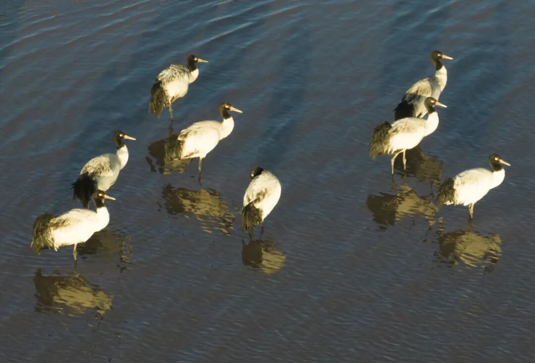 883e40e7ddb65c4d4b37f30fce5c2c41.jpg 883e40e7ddb65c4d4b37f30fce5c2c41.jpg