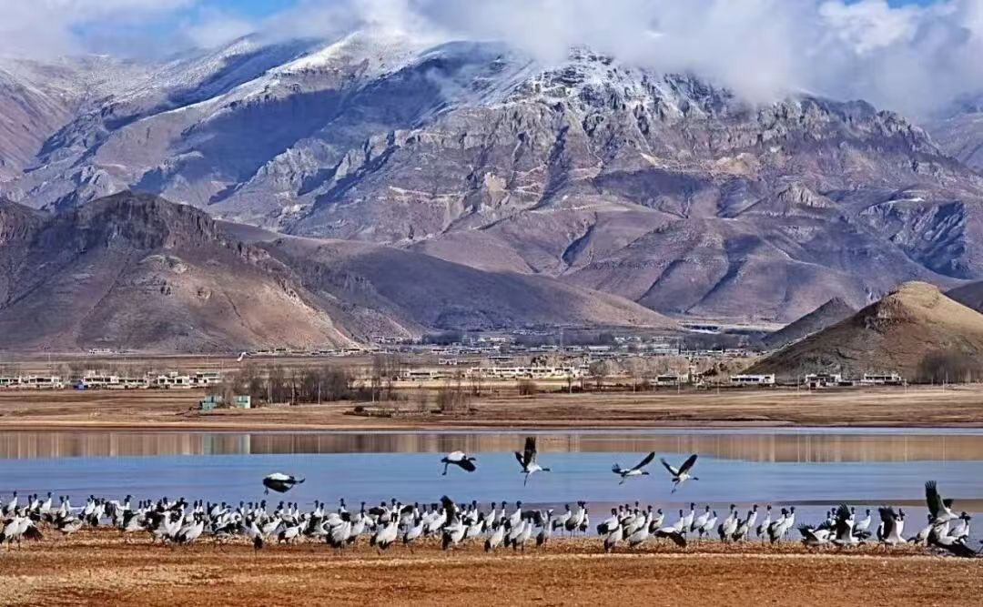 5dc5d70a70a6906b3fe9a9931843ebd0.jpg 5dc5d70a70a6906b3fe9a9931843ebd0.jpg