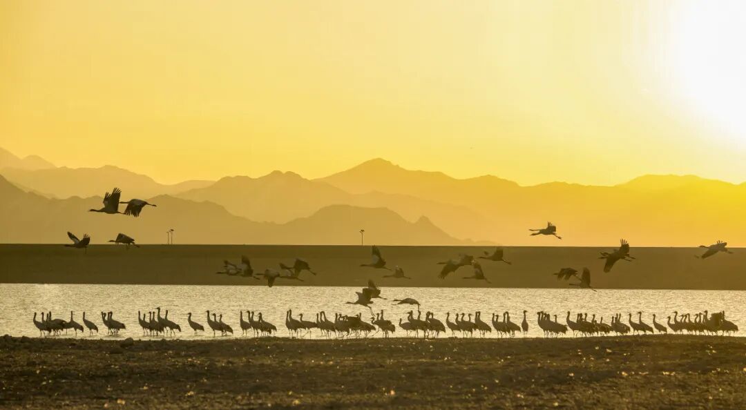 5889aef3b00332449538ffe763126b3c.jpg 5889aef3b00332449538ffe763126b3c.jpg