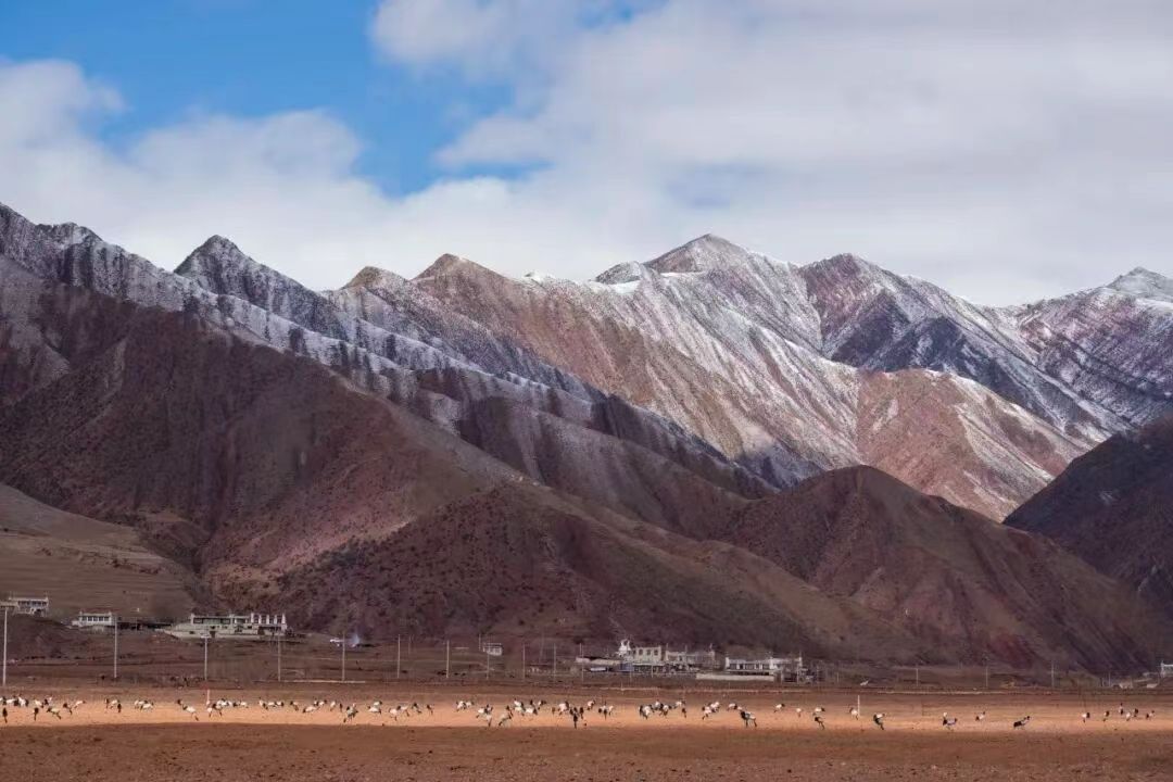 49aea60cd8be0389f6a6f7e5e990ce14.jpg 49aea60cd8be0389f6a6f7e5e990ce14.jpg