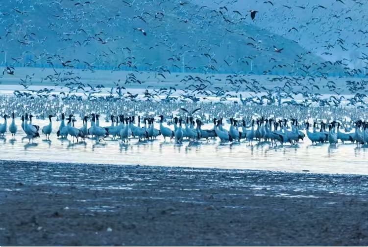 8e00ad1294484f85f02da9b6fa5ff88a.jpg 8e00ad1294484f85f02da9b6fa5ff88a.jpg