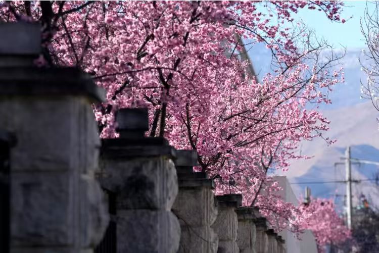 dcfc9f91065d5576c2cb46f56bd0dac1.jpg dcfc9f91065d5576c2cb46f56bd0dac1.jpg