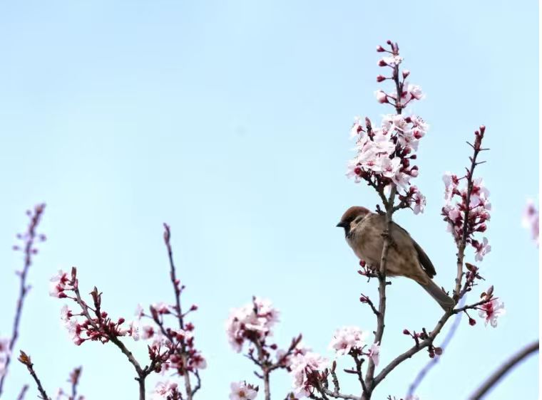 28ac7e3a19f1b202f4d7a69343937408.jpg 28ac7e3a19f1b202f4d7a69343937408.jpg