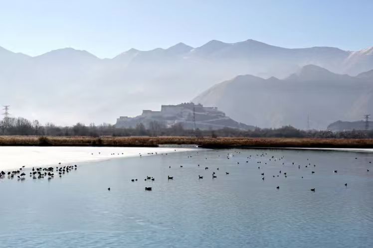 5d0ee02863b027de1a81196a88e47047.jpg 5d0ee02863b027de1a81196a88e47047.jpg