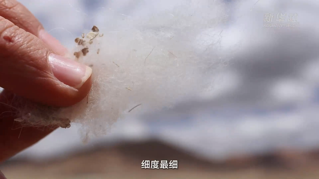 5562d03e447ae400c6b3173edc67448e.jpg 5562d03e447ae400c6b3173edc67448e.jpg