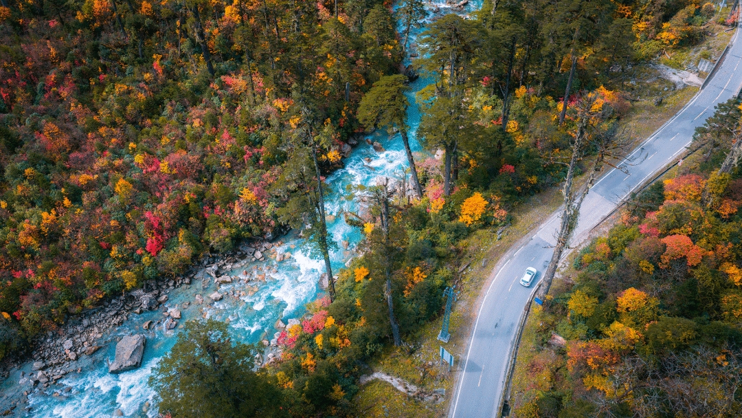 ec47262ba36258253edaf846b2d08337.jpg ec47262ba36258253edaf846b2d08337.jpg