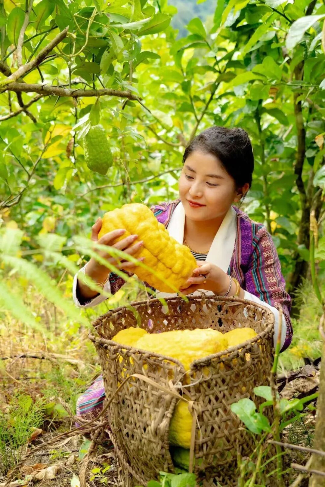 20ba1ab6a6a332b8a48e8da6d21ef88f.jpg 20ba1ab6a6a332b8a48e8da6d21ef88f.jpg